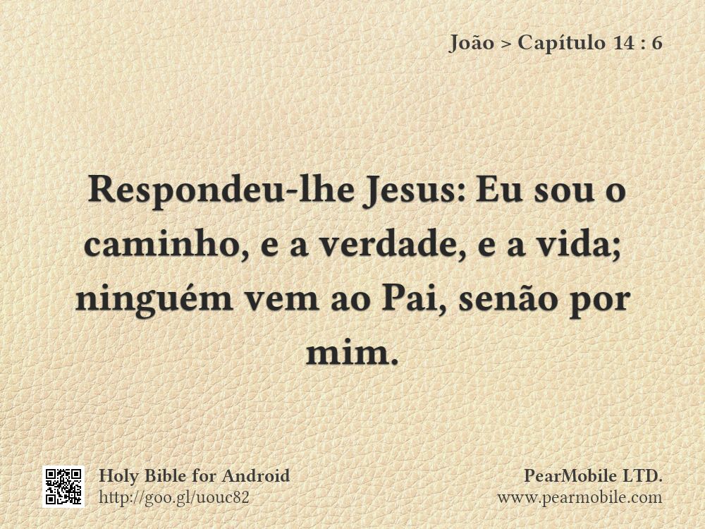 João, Capítulo 14:6